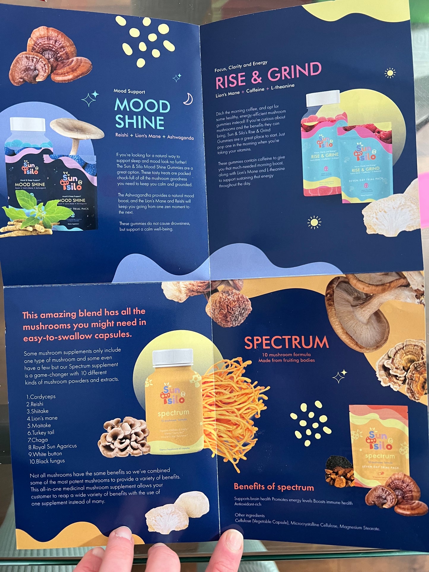 Brochure Design